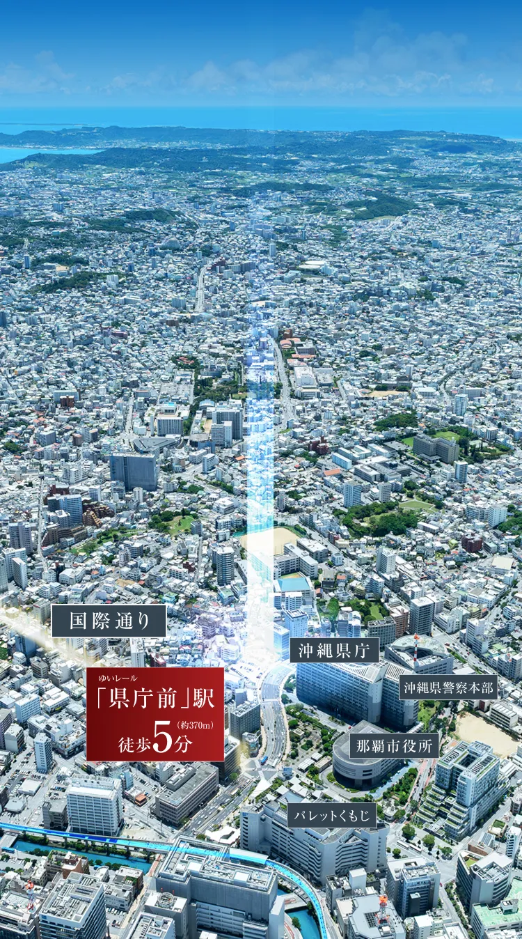 Aerial photography | Wizesem Court The Okinawa Prefectural Office